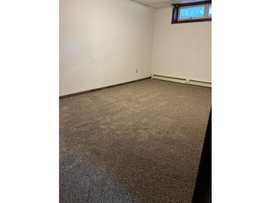 Rare duplex opportunity in Buffalo! Well-maintained and updated - photo 33