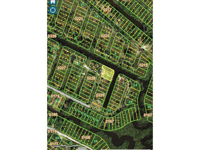 0.38 Acre lot located on Scott Canal which leads to Peace River - photo 6