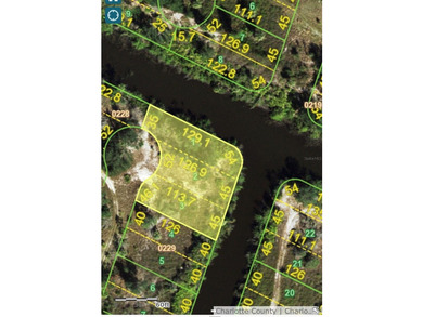 0.38 Acre lot located on Scott Canal which leads to Peace River - photo 7