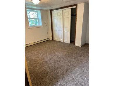 Rare duplex opportunity in Buffalo! Well-maintained and updated - photo 38