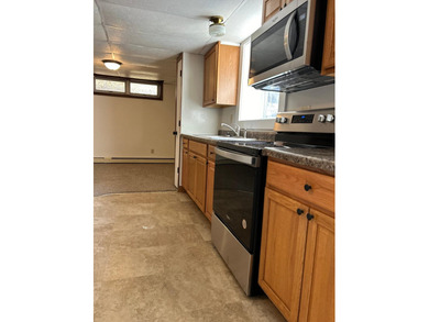 Rare duplex opportunity in Buffalo! Well-maintained and updated - photo 49