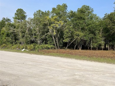 Withlacoochee River Lot For Sale in Webster Florida