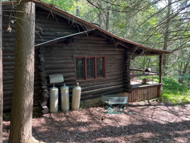 Lake Home Off Market in Hancock, New York