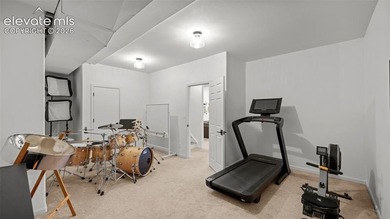 Woodmoor's most exceptional home with killer mountain views! - photo 32