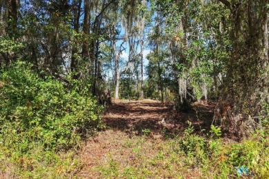 Lake Acreage For Sale in Madison, Florida