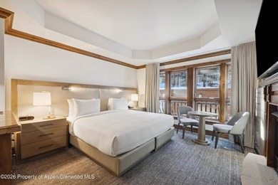 Recently refreshed in 2024, this centrally located Aspen - photo 6