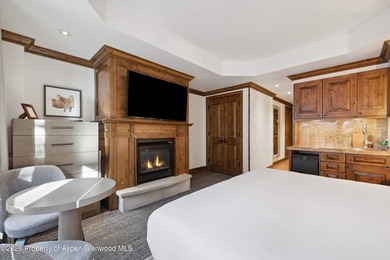 Recently refreshed in 2024, this centrally located Aspen - photo 8