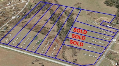 Lake Acreage For Sale in Emory, Texas