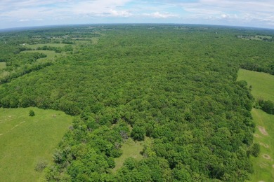 (private lake, pond, creek) Home For Sale in Edwards Missouri