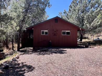 Lake Home For Sale in Payson, Arizona