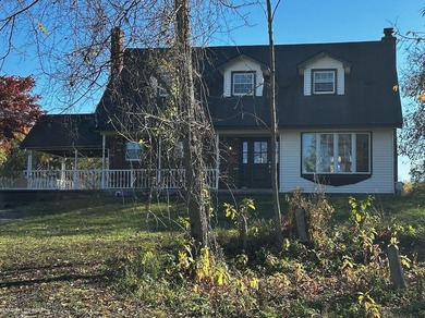 (private lake, pond, creek) Home For Sale in Imlay City Michigan