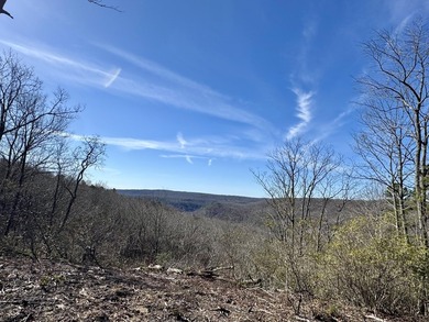 For those searching for true Tennessee mountain beauty, this +/- - photo 13
