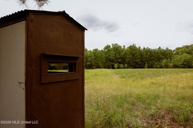 Land for sale in Amite County, MS. This beautiful 161-acre tract - photo 13