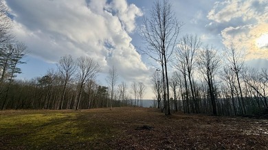 For those searching for true Tennessee mountain beauty, this +/- - photo 14