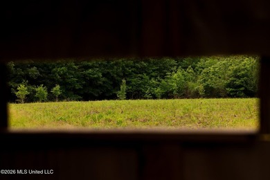 Land for sale in Amite County, MS. This beautiful 161-acre tract - photo 14