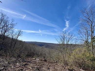 For those searching for true Tennessee mountain beauty, this +/- - photo 15
