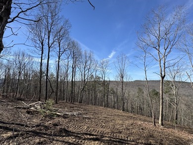 For those searching for true Tennessee mountain beauty, this +/- - photo 16