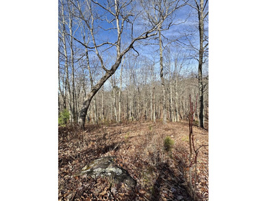 For those searching for true Tennessee mountain beauty, this +/- - photo 17