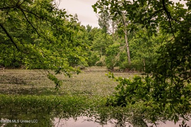 Land for sale in Amite County, MS. This beautiful 161-acre tract - photo 18