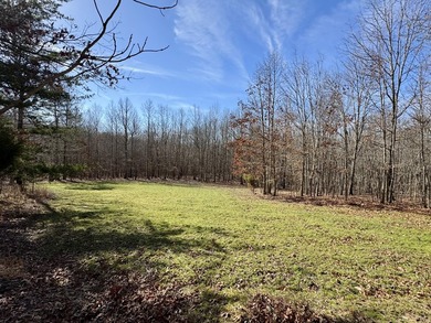 For those searching for true Tennessee mountain beauty, this +/- - photo 19