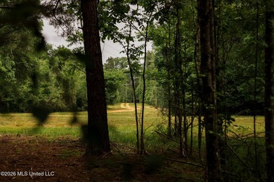 Land for sale in Amite County, MS. This beautiful 161-acre tract - photo 19