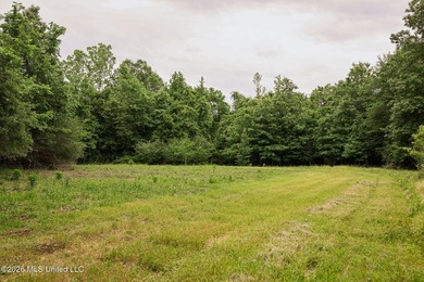 Land for sale in Amite County, MS. This beautiful 161-acre tract - photo 20