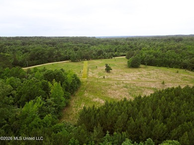 Land for sale in Amite County, MS. This beautiful 161-acre tract - photo 21