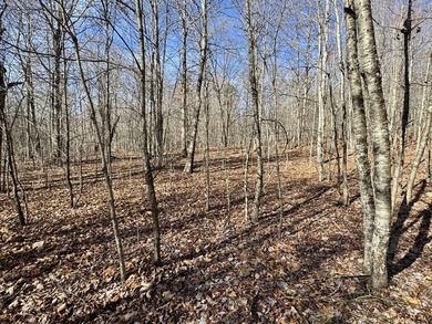 For those searching for true Tennessee mountain beauty, this +/- - photo 22