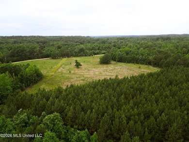 Land for sale in Amite County, MS. This beautiful 161-acre tract - photo 22