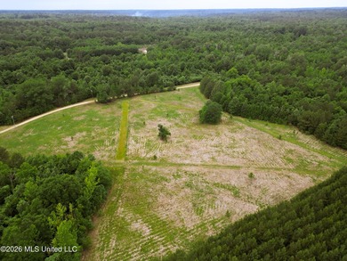 Land for sale in Amite County, MS. This beautiful 161-acre tract - photo 23