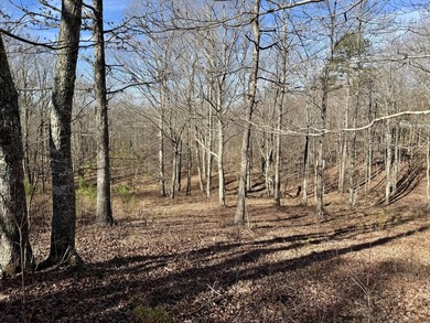 For those searching for true Tennessee mountain beauty, this +/- - photo 24