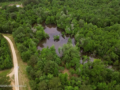 Land for sale in Amite County, MS. This beautiful 161-acre tract - photo 24