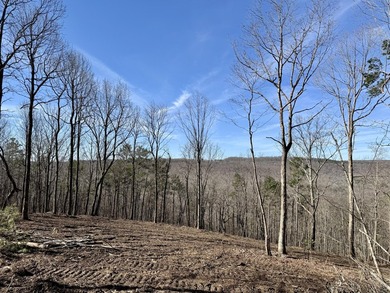 For those searching for true Tennessee mountain beauty, this +/- - photo 25