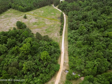 Land for sale in Amite County, MS. This beautiful 161-acre tract - photo 25