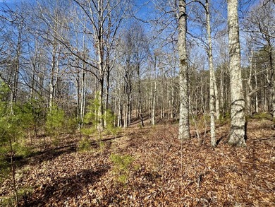 For those searching for true Tennessee mountain beauty, this +/- - photo 26