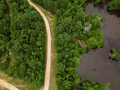 Land for sale in Amite County, MS. This beautiful 161-acre tract - photo 26