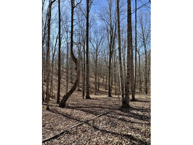 For those searching for true Tennessee mountain beauty, this +/- - photo 27