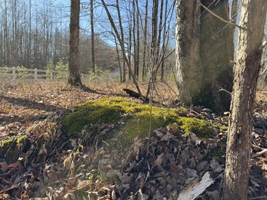 For those searching for true Tennessee mountain beauty, this +/- - photo 28