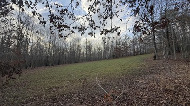 For those searching for true Tennessee mountain beauty, this +/- - photo 29
