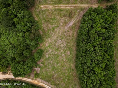 Land for sale in Amite County, MS. This beautiful 161-acre tract - photo 29