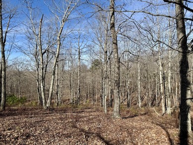 For those searching for true Tennessee mountain beauty, this +/- - photo 30
