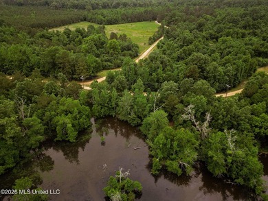 Land for sale in Amite County, MS. This beautiful 161-acre tract - photo 31