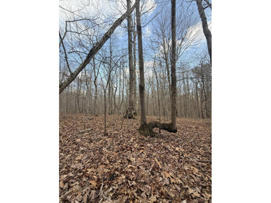 For those searching for true Tennessee mountain beauty, this +/- - photo 32