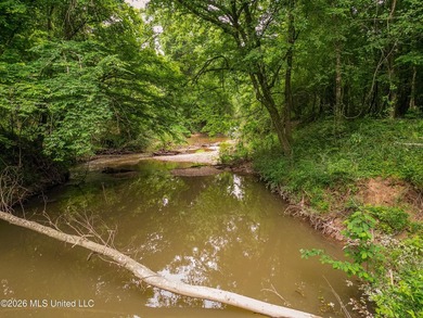 Land for sale in Amite County, MS. This beautiful 161-acre tract - photo 32