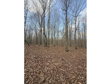 For those searching for true Tennessee mountain beauty, this +/- - photo 33