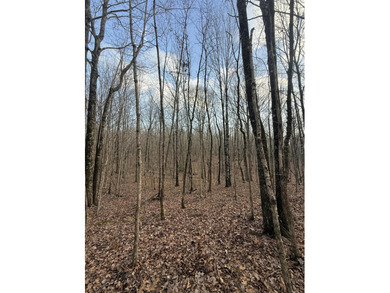 For those searching for true Tennessee mountain beauty, this +/- - photo 34