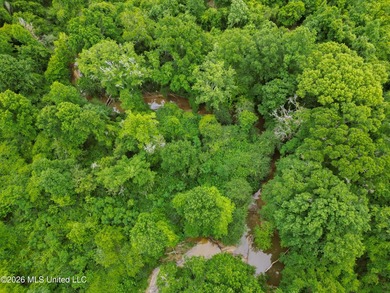 Land for sale in Amite County, MS. This beautiful 161-acre tract - photo 34