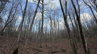 For those searching for true Tennessee mountain beauty, this +/- - photo 35