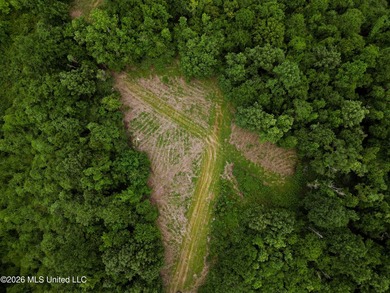 Land for sale in Amite County, MS. This beautiful 161-acre tract - photo 35