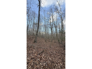 For those searching for true Tennessee mountain beauty, this +/- - photo 36